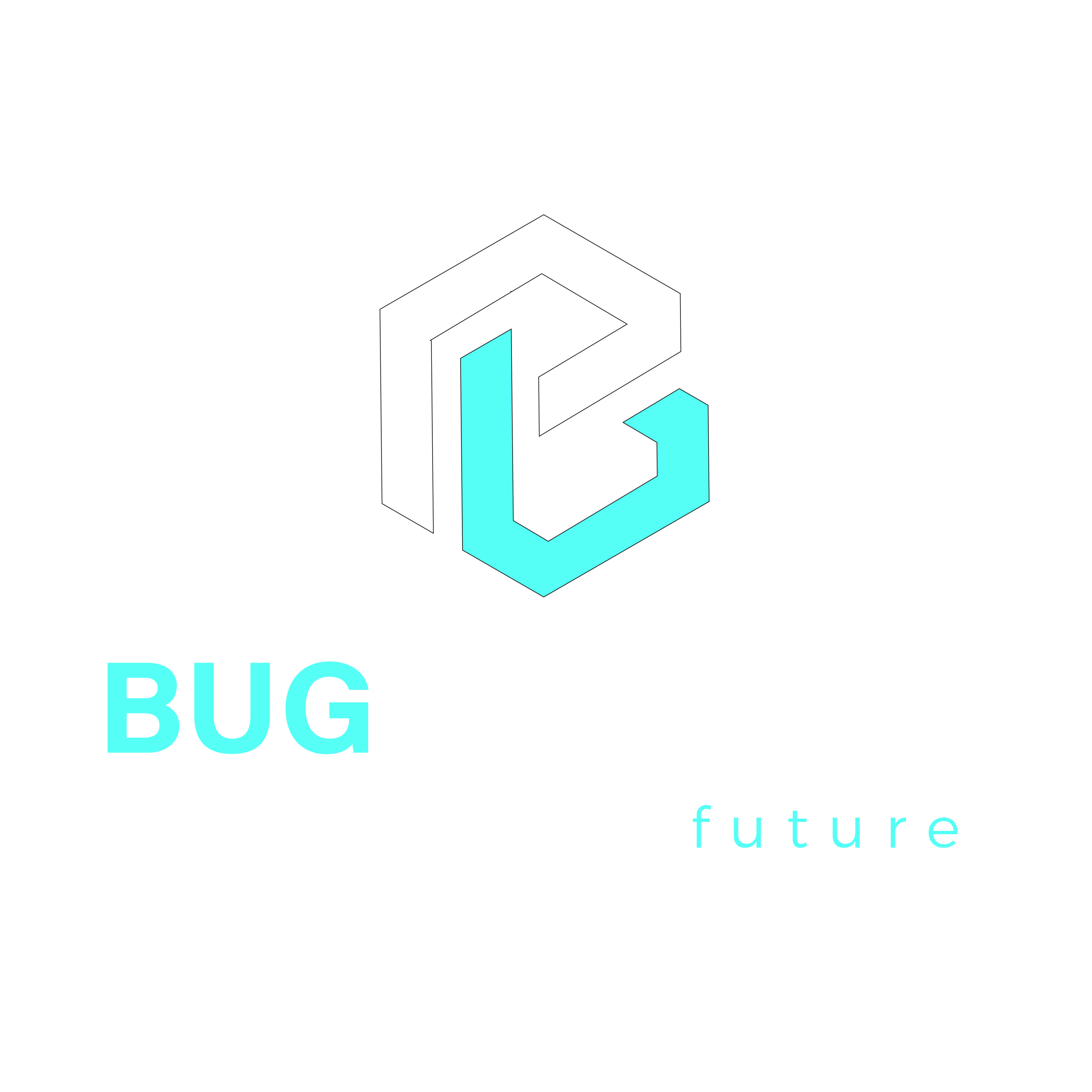 Bug-solvers-logo.svg